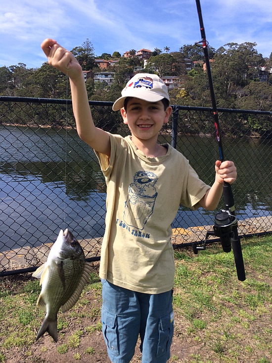 Sydney youngster saves plastic bag snapper